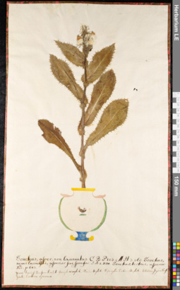 LE 01091979