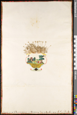 LE 01092006