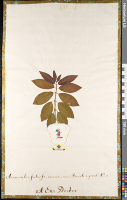 LE 01092010