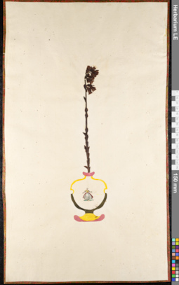 LE 01092011