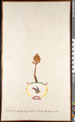 LE 01092018