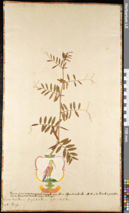 LE 01092019