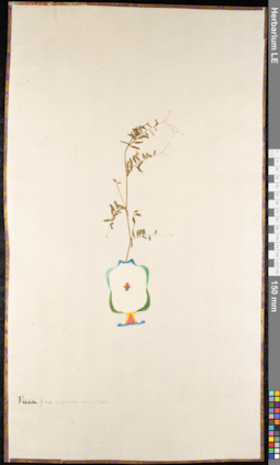 LE 01092024