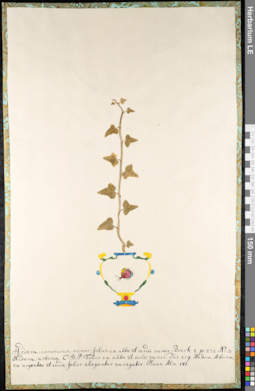 LE 01092027