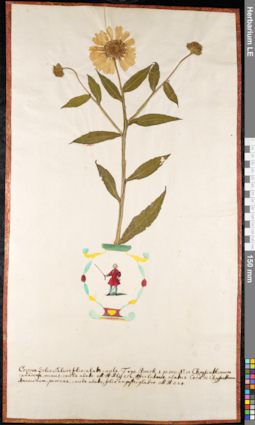 LE 01092051