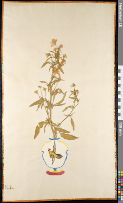 LE 01092067