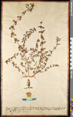 LE 01092077