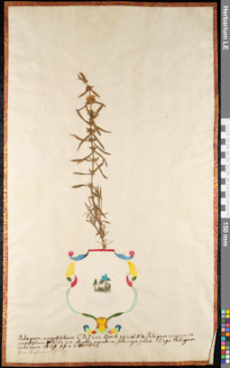 LE 01092078