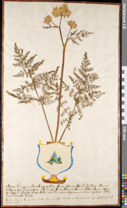 LE 01092080