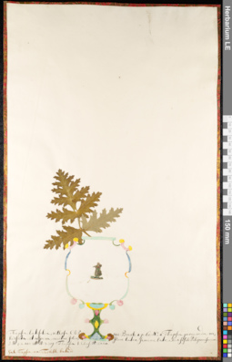 LE 01092085