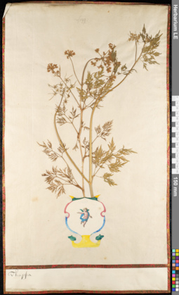 LE 01092087