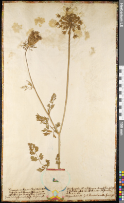 LE 01092088