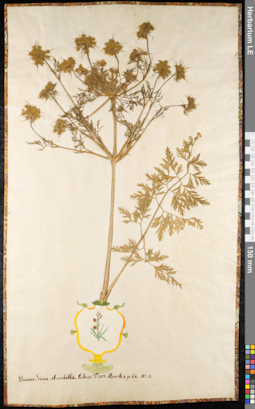 LE 01092089