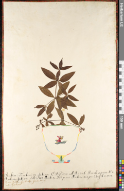 LE 01092090