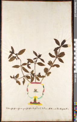LE 01092091
