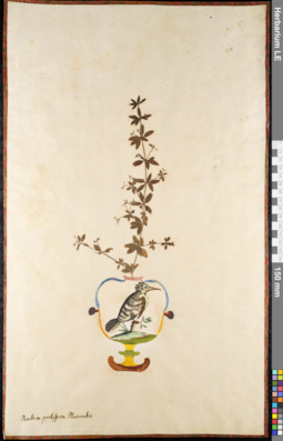 LE 01092092