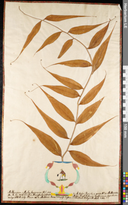 LE 01092110