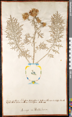 LE 01092129