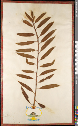 LE 01092148