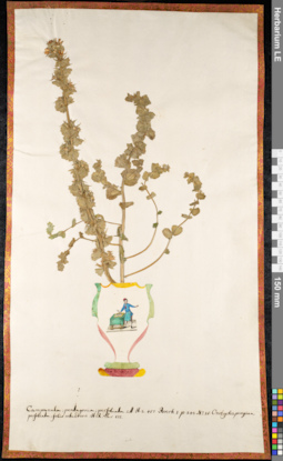 LE 01092153