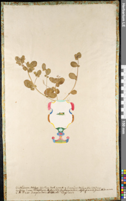 LE 01092170