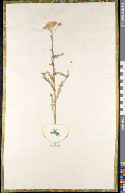 LE 01092223