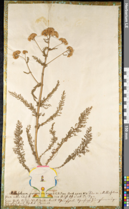 LE 01092225
