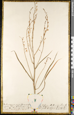 LE 01092228