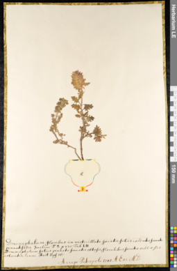 LE 01092236