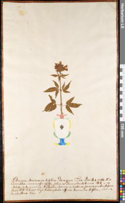 LE 01092240
