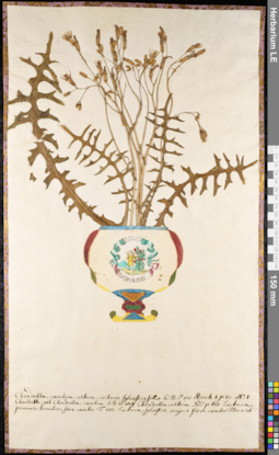 LE 01092247