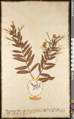 LE 01092263