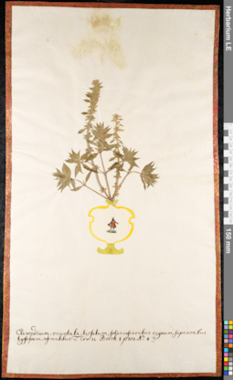 LE 01092268