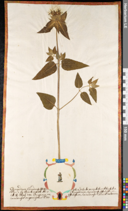 LE 01092269