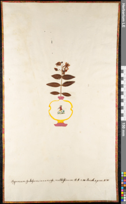 LE 01092274
