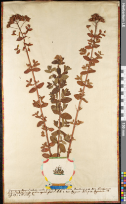 LE 01092276