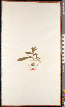 LE 01092293