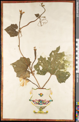 LE 01092312