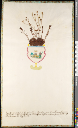 LE 01092315