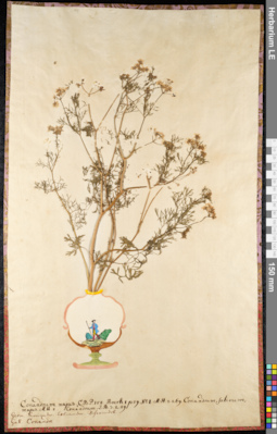 LE 01092324