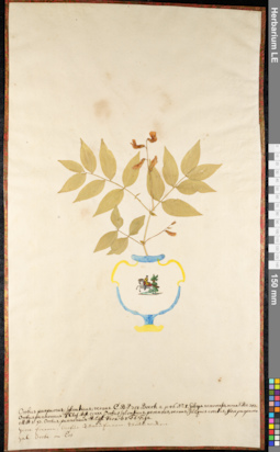 LE 01092335