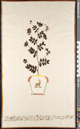 LE 01092336