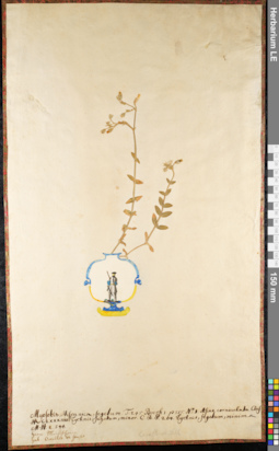 LE 01092339