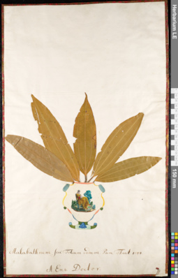 LE 01092368