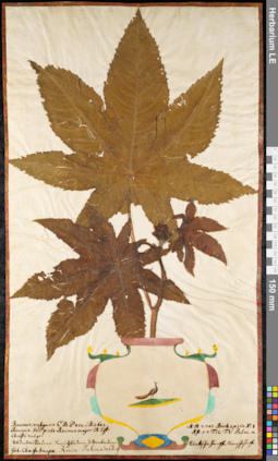 LE 01092372