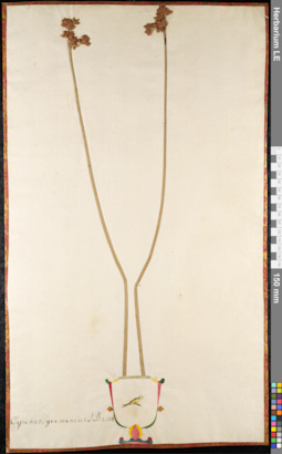 LE 01092386