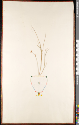 LE 01092387