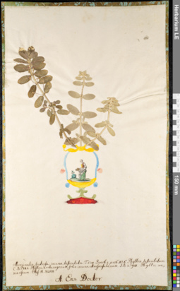 LE 01092407