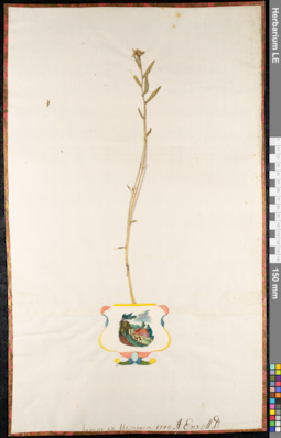 LE 01092411
