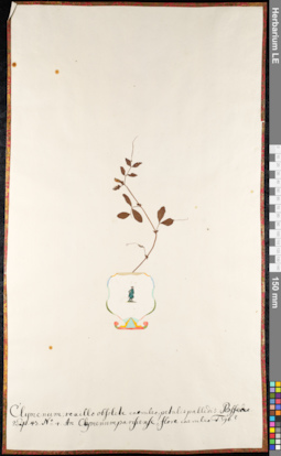 LE 01092432